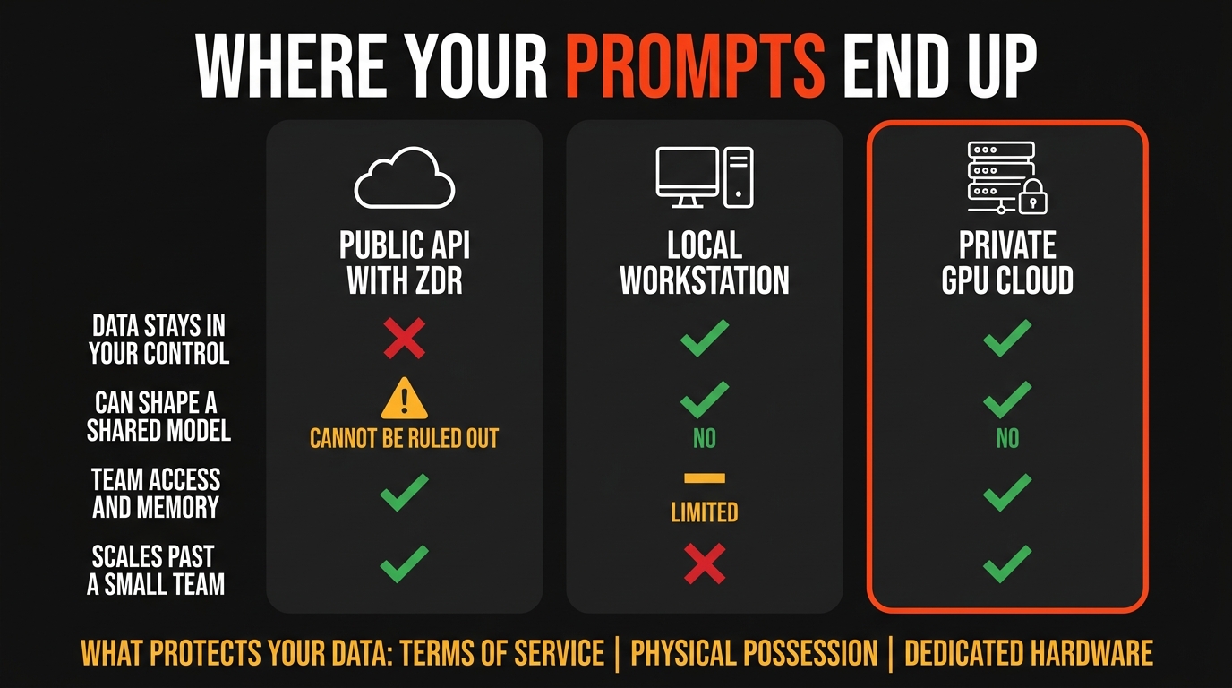 Comparison of a public API with zero data retention, a local workstation, and a private GPU cloud across data control, exposure to shared model training, team access, and scale