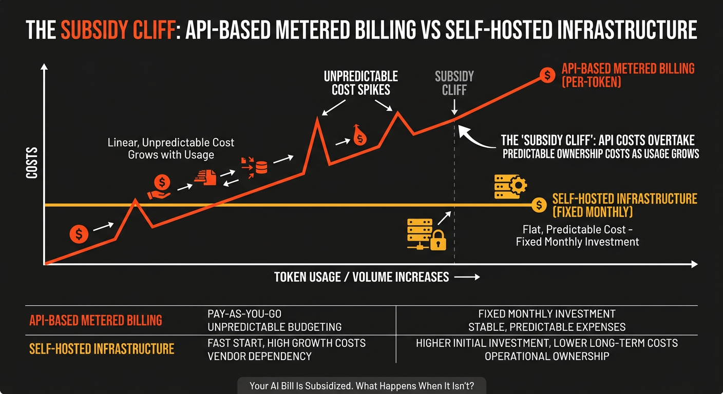Comparison chart of API metered billing vs fixed-cost private LLM hosting